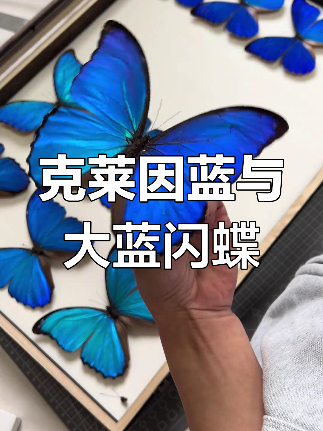 世界杯-克莱因克莱因瓶为什么装不满